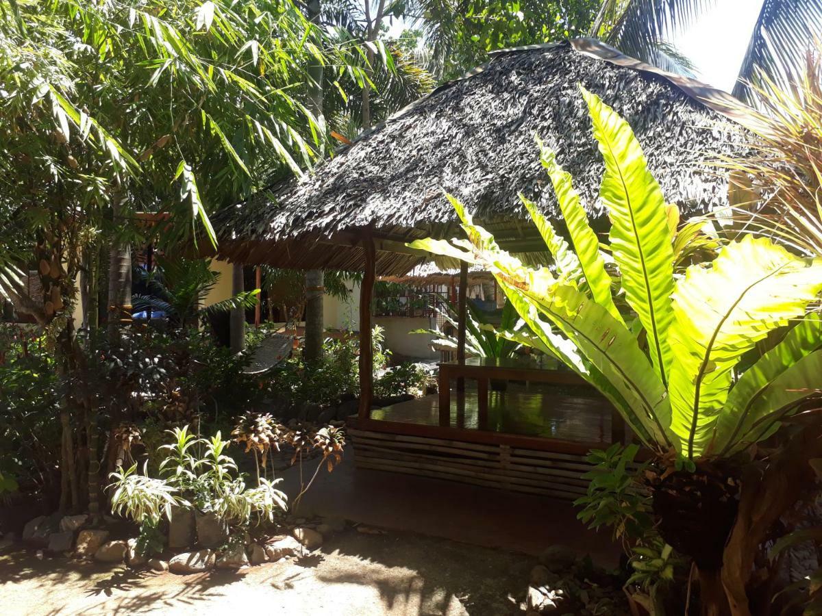 PALAWAN Ej ペンションハウス Bed & Breakfast エクステリア 写真
