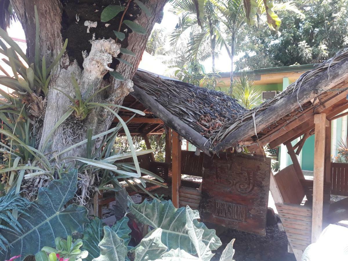 PALAWAN Ej ペンションハウス Bed & Breakfast エクステリア 写真